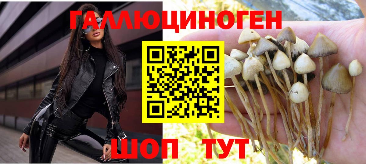 Галлюциногенные грибы Cubensis  Вход с VPN  Волгоград 