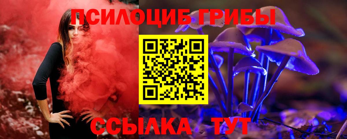Галлюциногенные грибы прущие грибы Волгоград